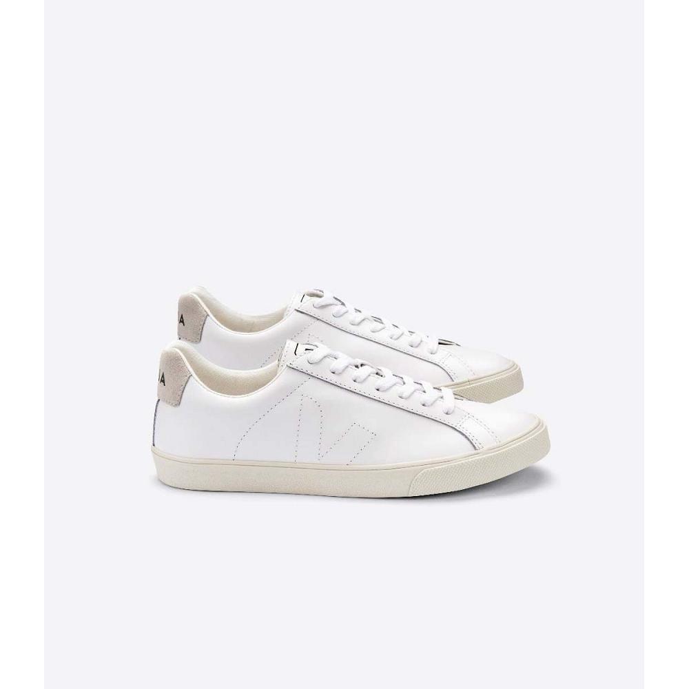 Veja ESPLAR LEATHER Women\'s Sneakers White/Beige | NZ 621HAP